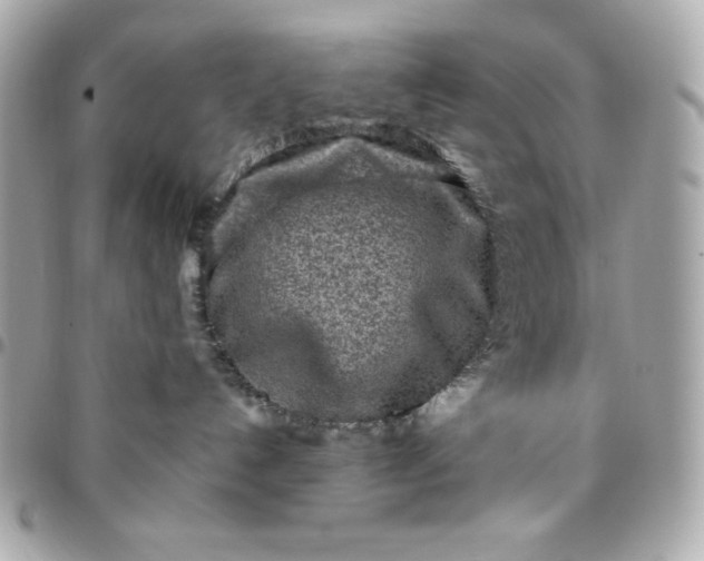 X0000096470192200802071905