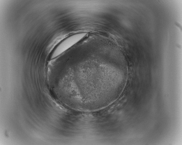 X0000096470194200802071904