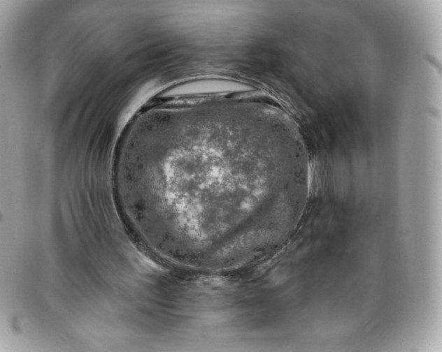 X0000096470195200802071904