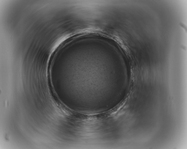 X0000096470196200802071904