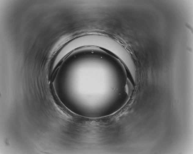 X0000096470197200802071904