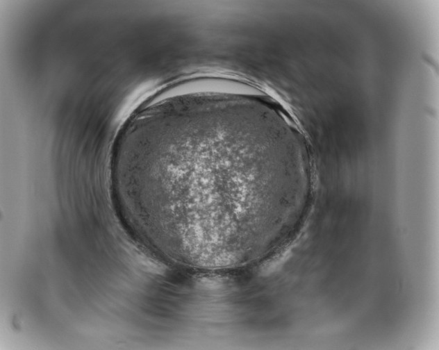 X0000096470199200802071904