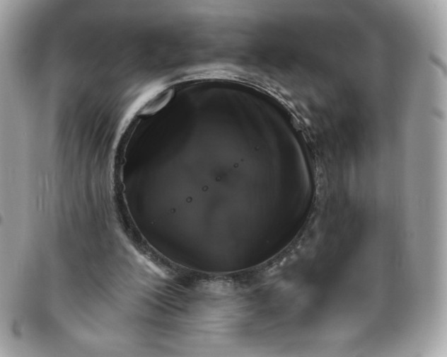 X0000096470200200802071904