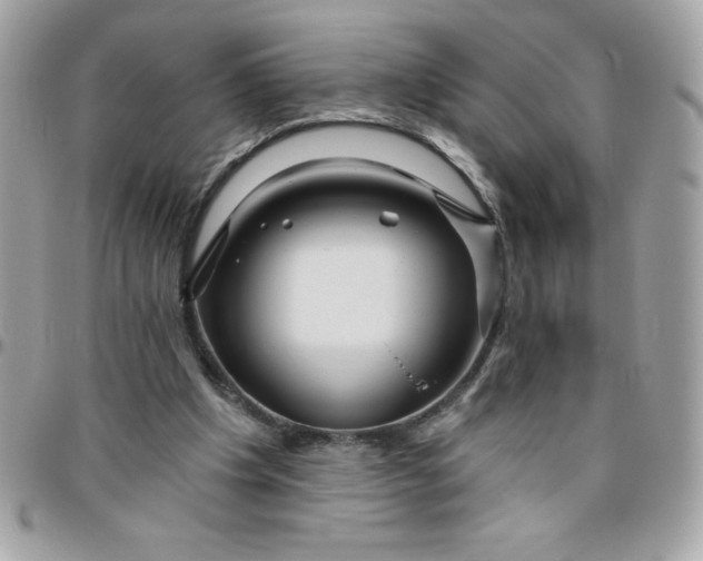 X0000096470201200802071904