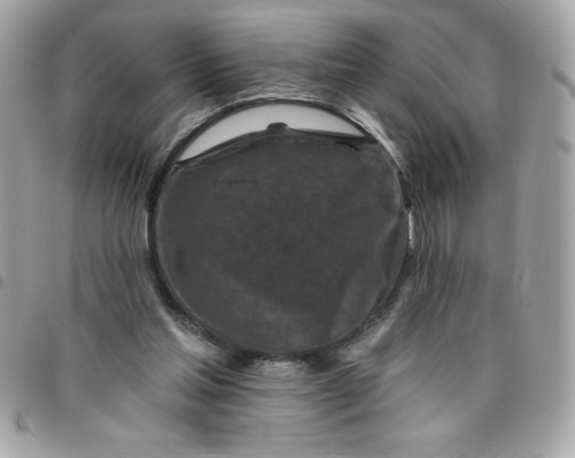 X0000096470205200802071904