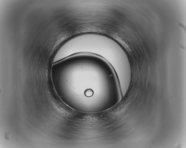 X0000096470207200802071904