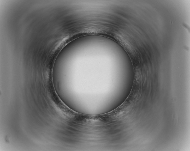 X0000096470208200802071904