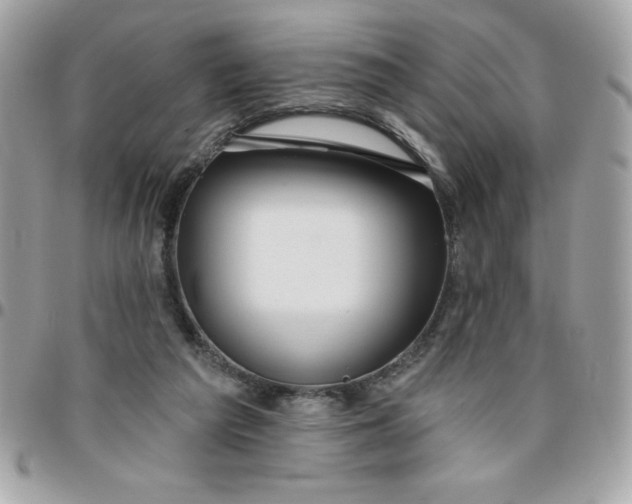 X0000096470209200802071904