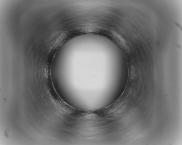 X0000096470210200802071904