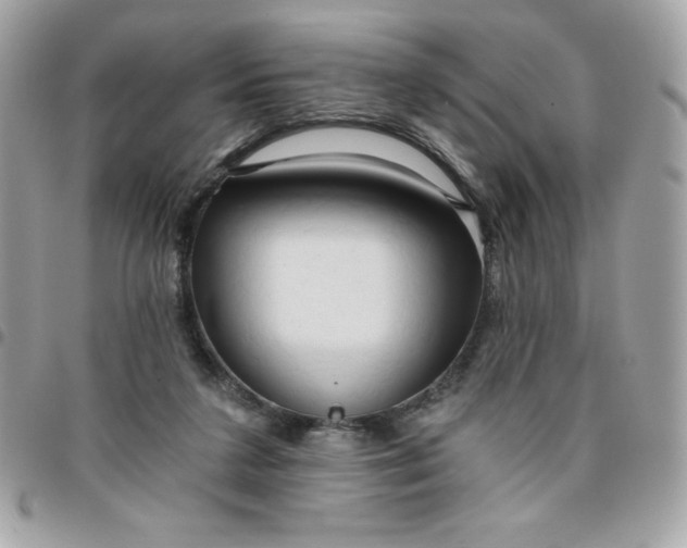 X0000096470211200802071904