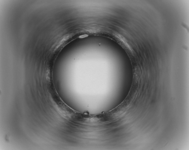 X0000096470212200802071904