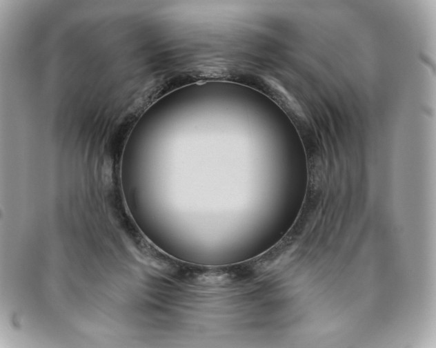 X0000096470213200802071904