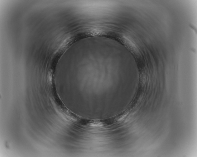 X0000096470214200802071904