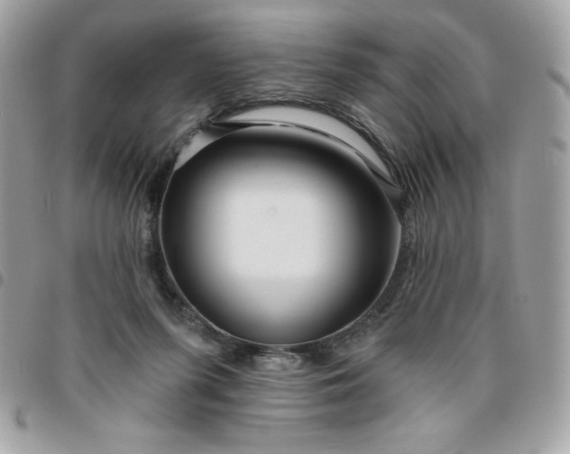 X0000096470215200802071904