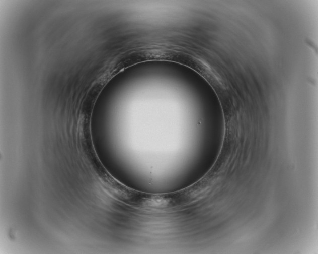 X0000096470217200802071904