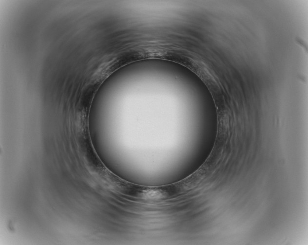 X0000096470218200802071904