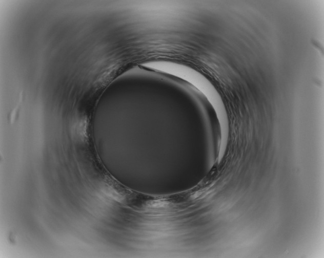 X0000096470219200802071904