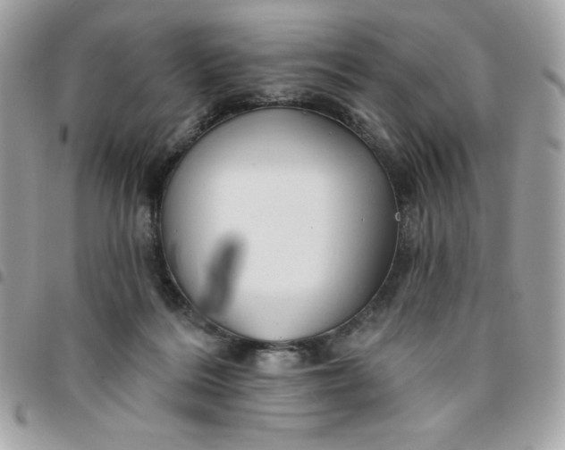 X0000096470220200802071904