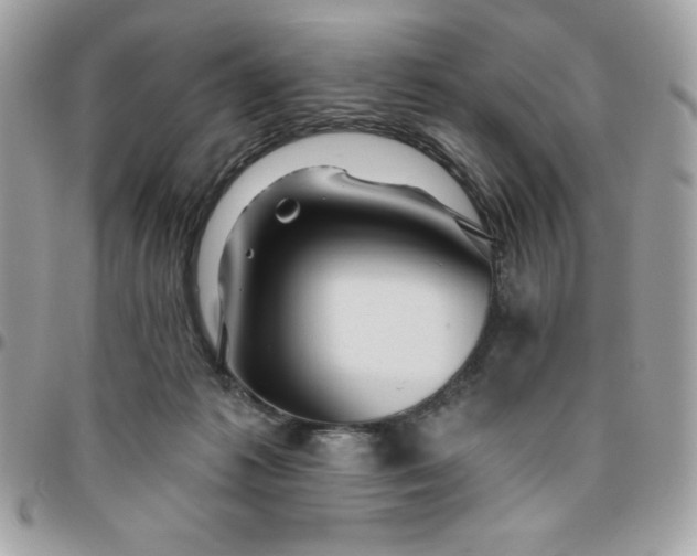 X0000096470221200802071904