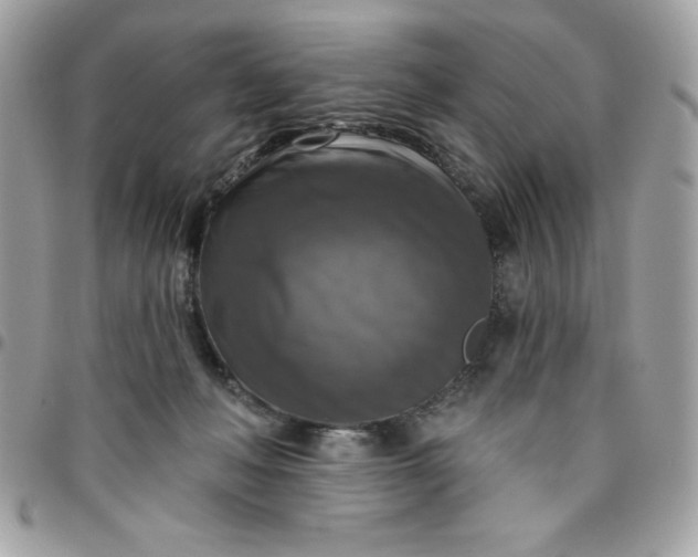 X0000096470222200802071904