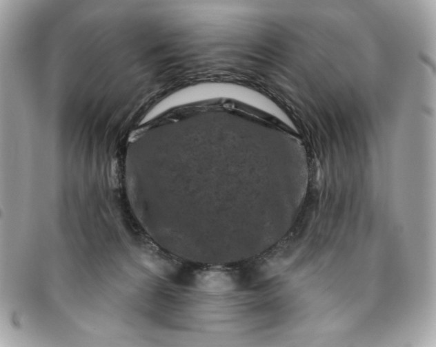 X0000096470224200802071903