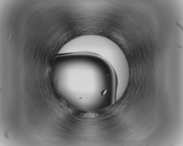 X0000096470225200802071903