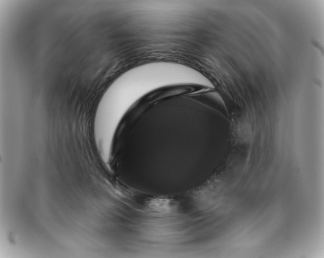 X0000096470227200802071903