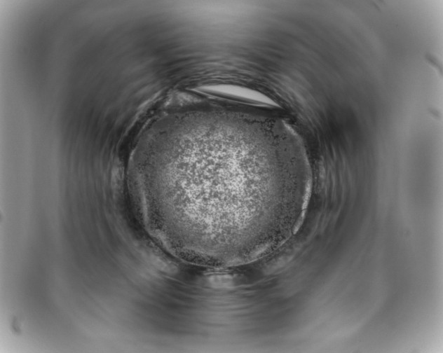 X0000096470228200802071903