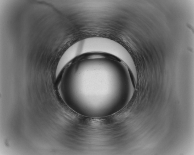 X0000096470229200802071903