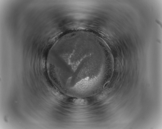 X0000096470230200802071903