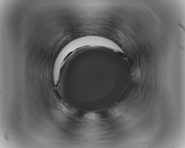 X0000096470231200802071903