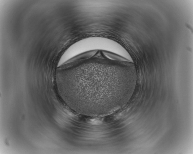 X0000096470232200802071903