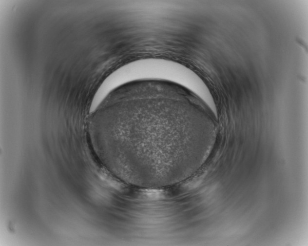 X0000096470233200802071903