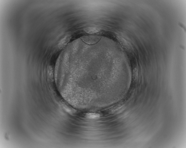 X0000096470234200802071903