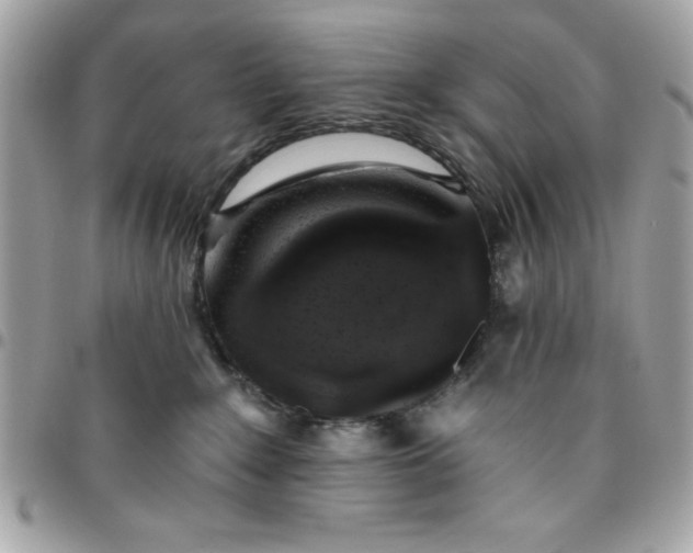 X0000096470235200802071903