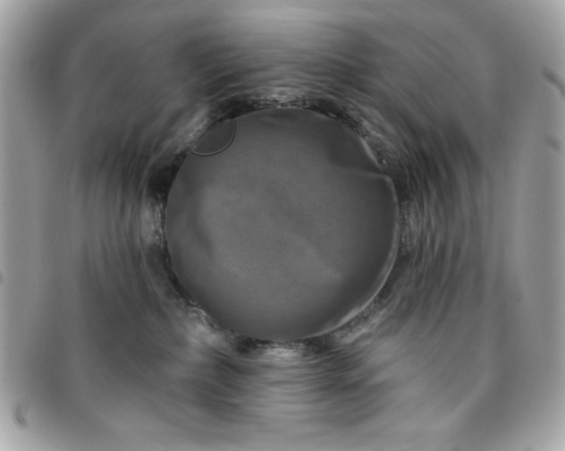 X0000096470236200802071903