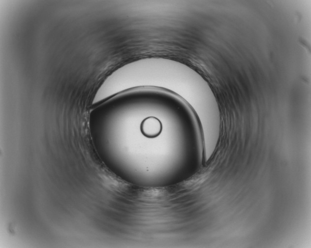 X0000096470237200802071903