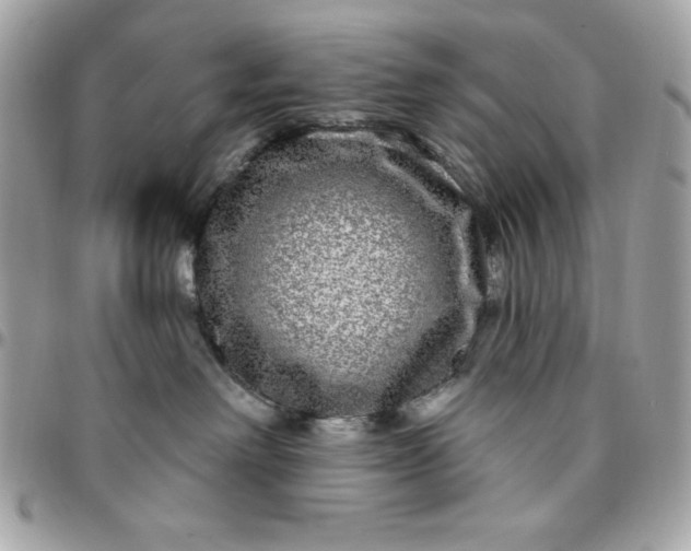 X0000096470238200802071903