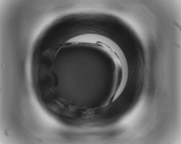 X0000096470239200802071903