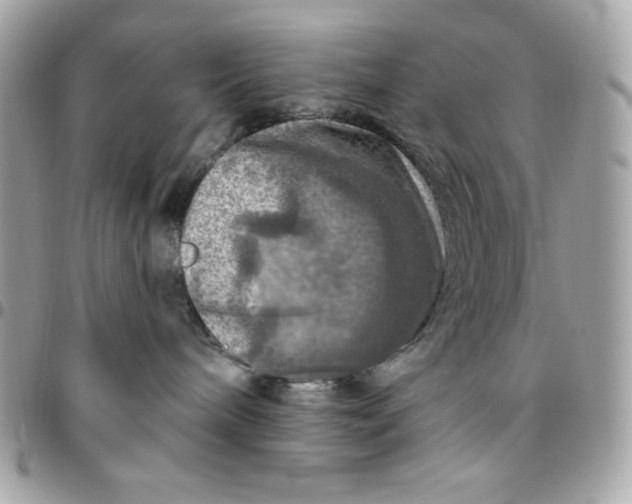 X0000096470240200802071903