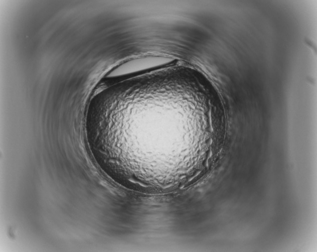 X0000096470241200802071903