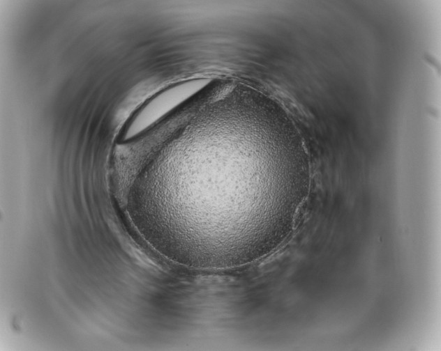 X0000096470242200802071903