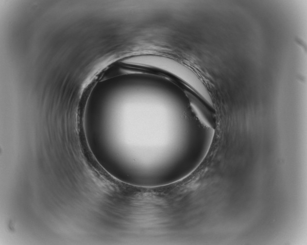 X0000096470244200802071903