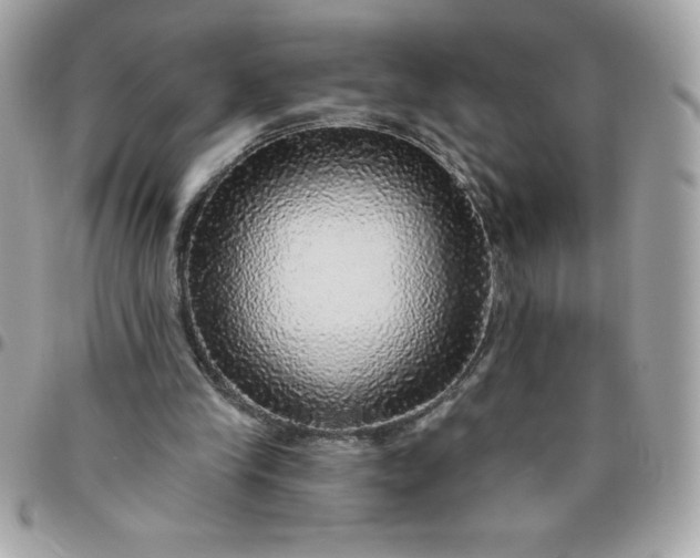 X0000096470245200802071903