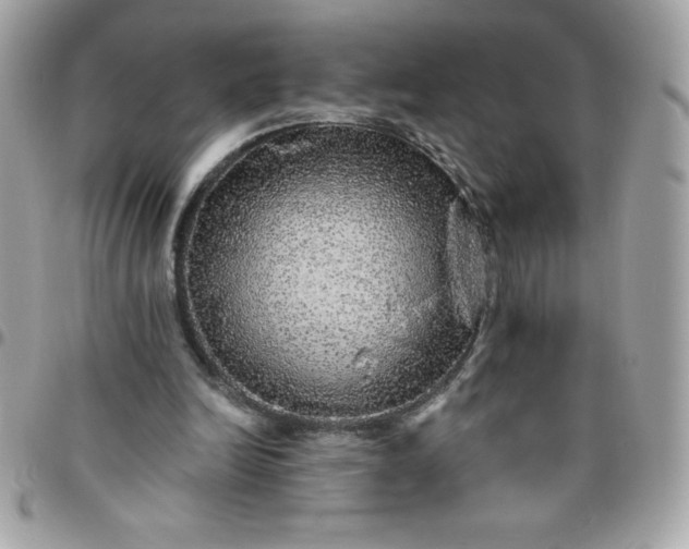 X0000096470246200802071903