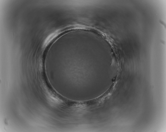 X0000096470247200802071903