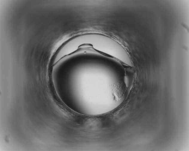 X0000096470248200802071903