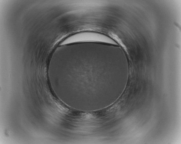 X0000096470249200802071903