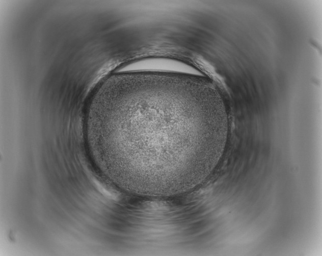 X0000096470250200802071903