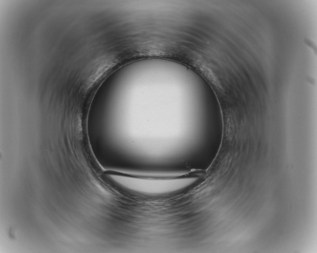 X0000096470251200802071903